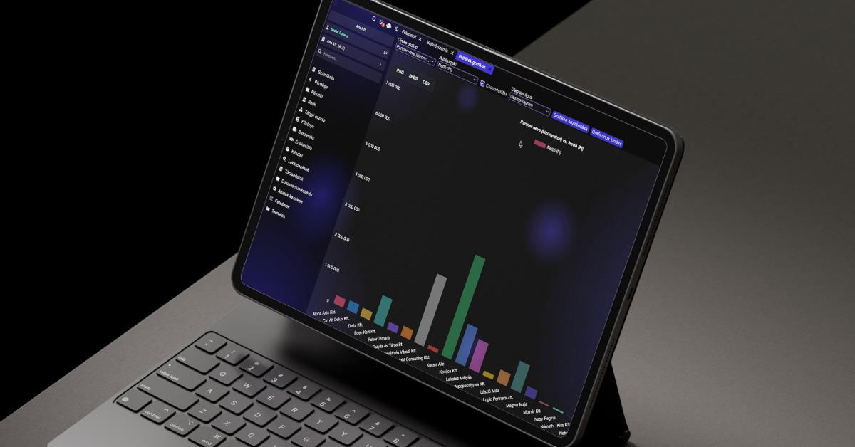 DataMagic ERP – dinamikus kimutatáskészítő, partner-statisztika